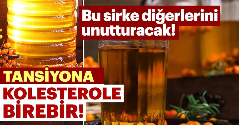 Alic Sirkesi Faydalari Ile Sasirtiyor Saglik Haberleri