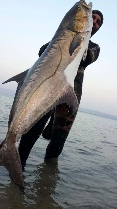 Tüpsüz dalışta Türkiye’nin en büyüğünü avladı