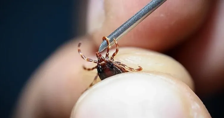 Sivas’ta KKKA’dan iki kişi can verdi