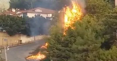 Alanya’da korkutan yangın #antalya