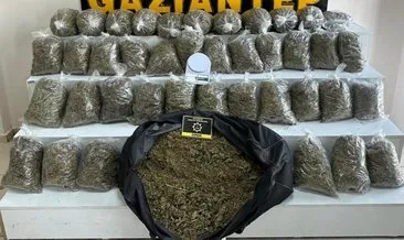 Gaziantep’te 56 kilo esrar ele geçirildi #gaziantep