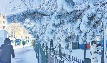 Doğu’da Sibirya soğuğu #bingol