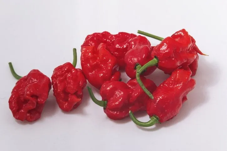 Dünyanın en acı biberi! Yiyenin nefesini kesiyor: Fakat hayatınızı değiştirecek öyle bir faydası var ki...