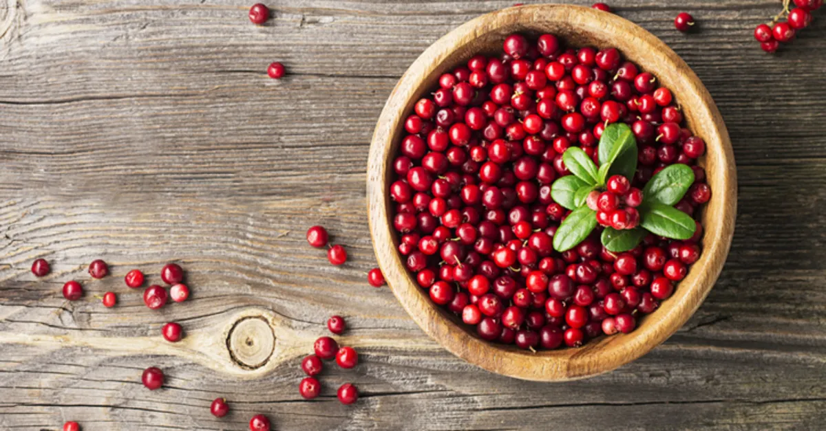 Kekreyemis Tozu Ne Ise Yarar Nerede Satilir Kekreyemis Tozu Kilo Verdirir Mi Faydalari Neler Saglik Haberleri