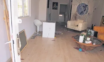 Kadına şiddet vahşete dönüştü