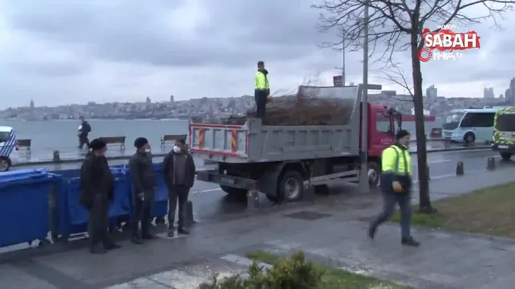 Üsküdar'da gece yarısı elektrikli testereyle ağaç kesenler suçüstü yakalandı | Video
