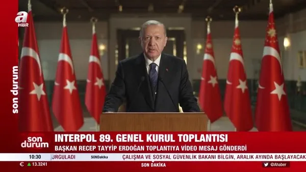 Son Dakika: Başkan Erdoğan'dan 'DEAŞ' mesajı! 