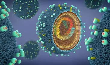 Malezya’da virüs alarmı: Okullarda eğitime ara verildi