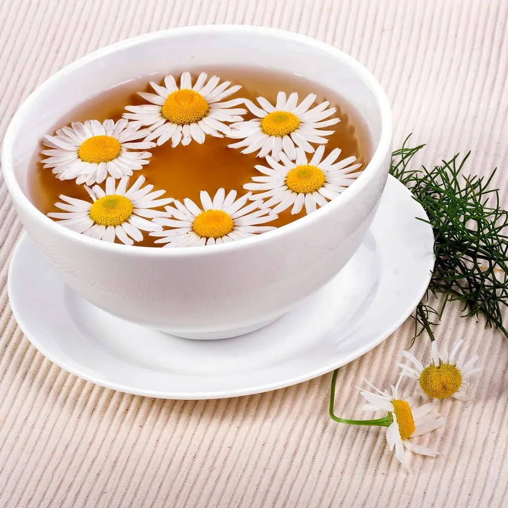 Ромашковый чай для организма