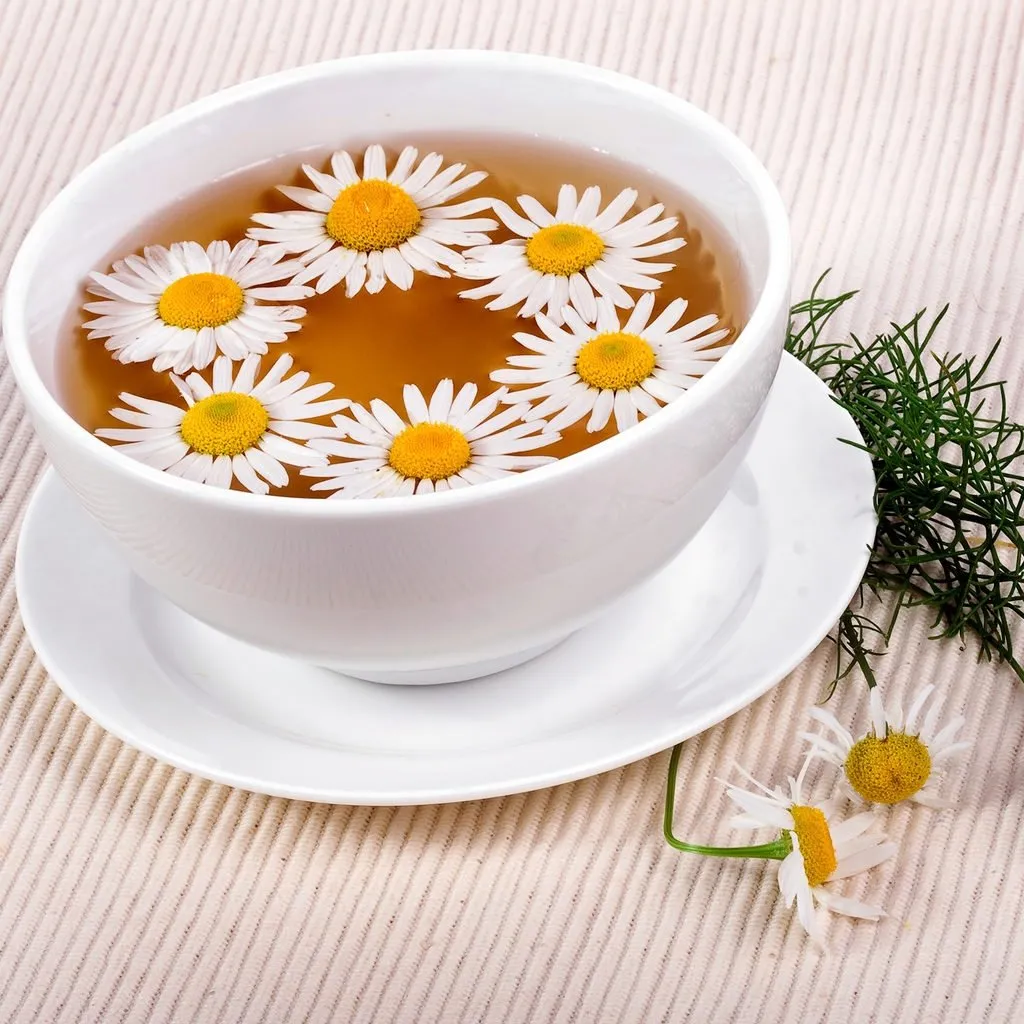 Ромашковый чай для женщин. Ромашковый чай. Чай "Ромашка". Настой ромашки. Ромашка лекарственная чай.