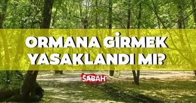 ORMANA GİRİŞ YASAĞI OLAN İLLER 2024 | Hangi illerde ormana giriş yasak, piknik ve mangal yapmak, ateş yakmak yasaklandı mı?