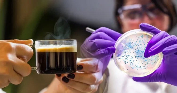 Kahve değil bakteri içiyoruz! Kahve hazırlarken bu hata E. coli yuvasına çeviriyor….