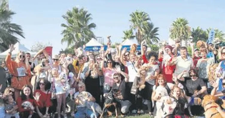 Hayvanseverler 1.5 ton mama aldı