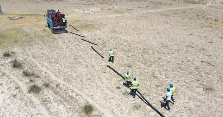 Flamingolara can suyu