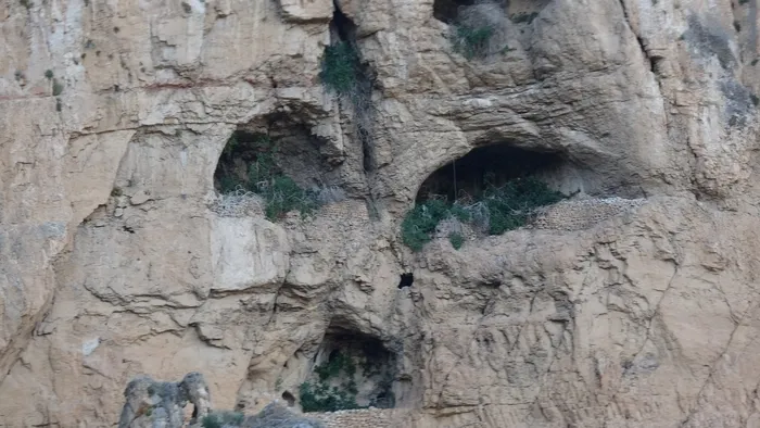 bin-250-rakimdaki-magarada-insan-kemikleri-bulundumalatyada-faili-mechul-dosyalar-aralaniyor-1783492072481.jpg