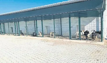 Başkandan şok iddia