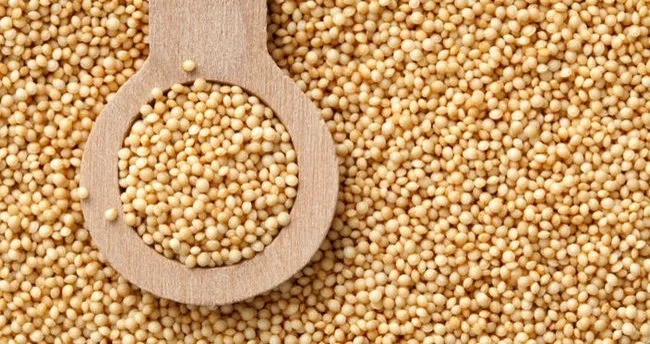 Amaranth’ın bu faydasına şaşıracaksınız!