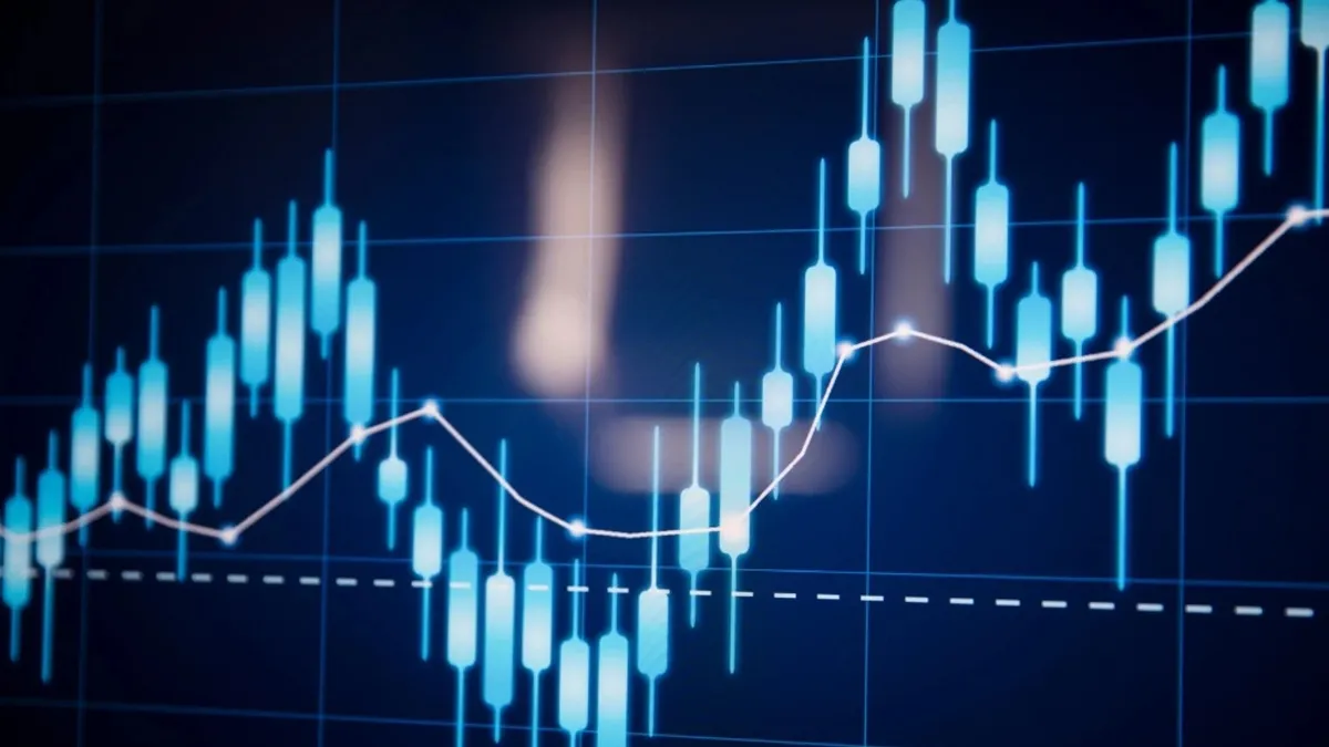 Netcad Yazılım talep toplama tarihleri: Netcad halka arzı ne zaman, kaç lot verir, hisse fiyatı ne kadar?