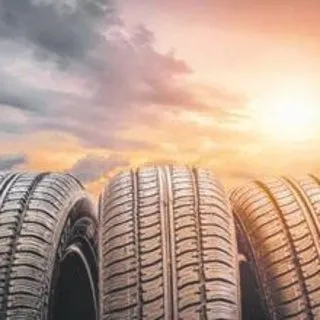 11 ülkeye ihracata başladı