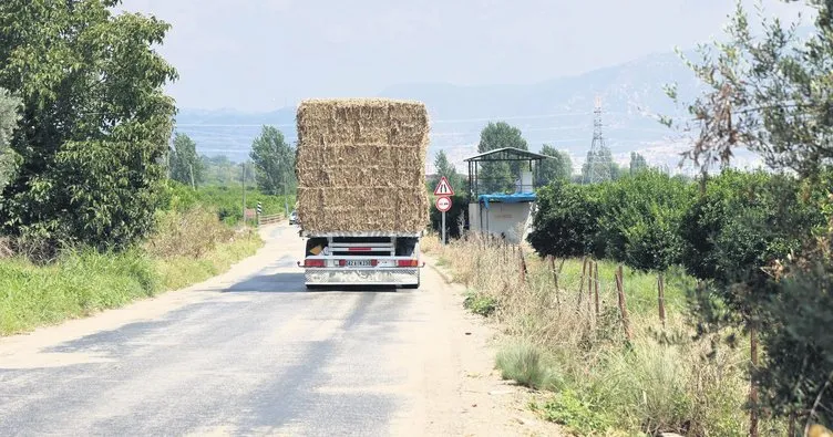 Saman balyası taşıyan kamyonlar kâbus oldu