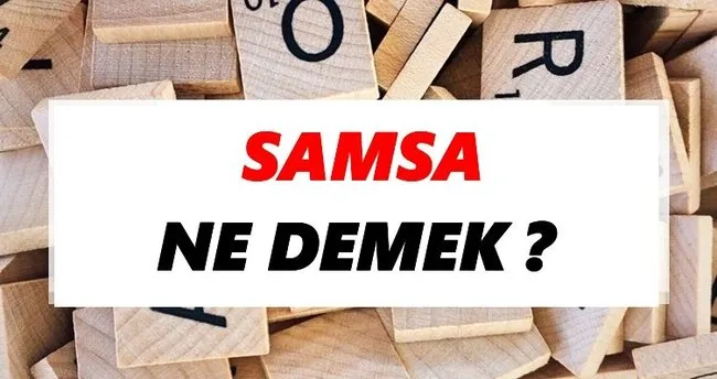 Samsa Ne Demek? TDK’ya Göre Samsa Sözlük Anlamı Nedir?