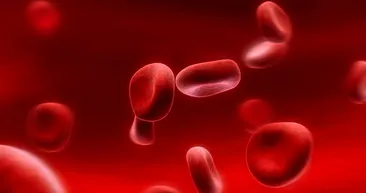 Basit bir test talasemiyi önlüyor