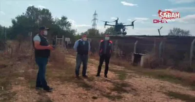 Bursa’da insansız hava aracı ile yaban hayatı envanteri gerçekleştirildi | Video