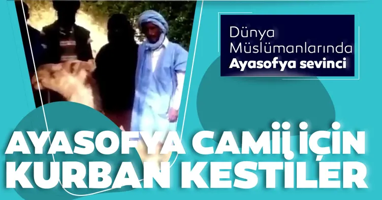 Ayasofya Camii için kurban kestiler