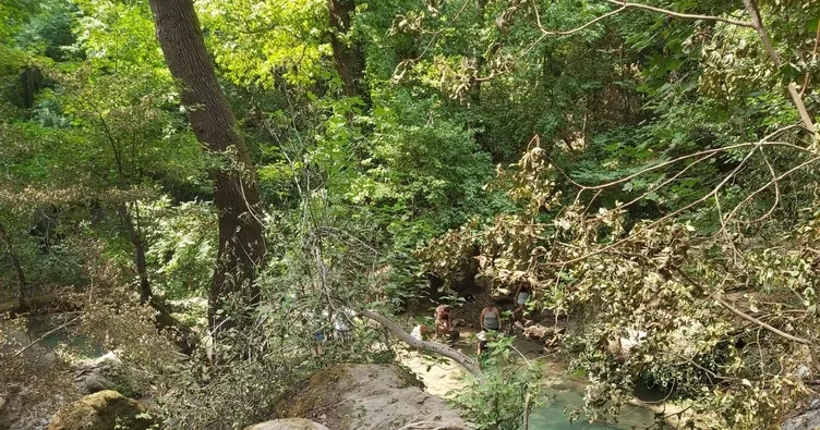 ’Anıt ağacı’ alevlere meydan okudu!