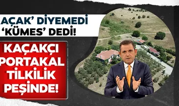 Kaçakçı Fatih Portakal tilkilik peşinde