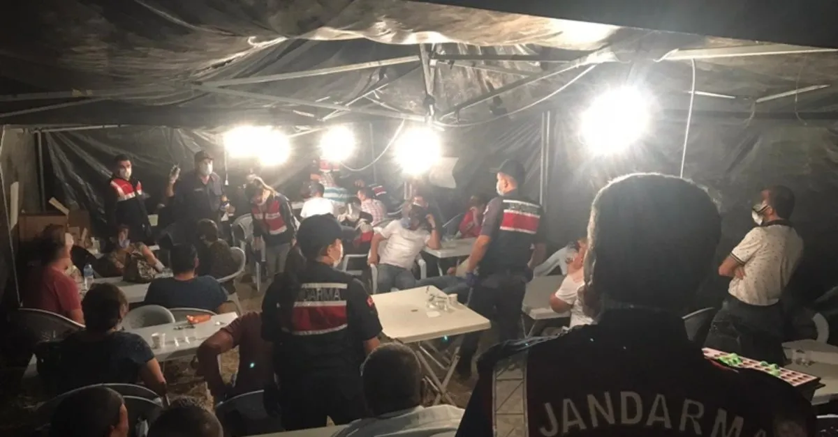 Tarlada kurdukları çadırda kumar oynayanlar suçüstü yakalandılar