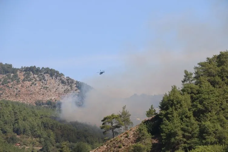 Son dakika: Adana’da orman yangını çıktı