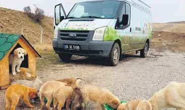 Pursaklar’da can dostlara kış desteği