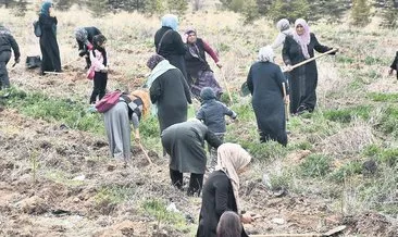 Bozkırda gurur veren tablo