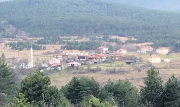 Dumansız köy