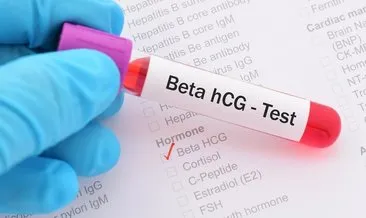 Gebelik Testinde Beta HCG Değeri Kaç Çıkar? Kanda Hamilelik Testi Beta HCG Değerleri Hesaplama