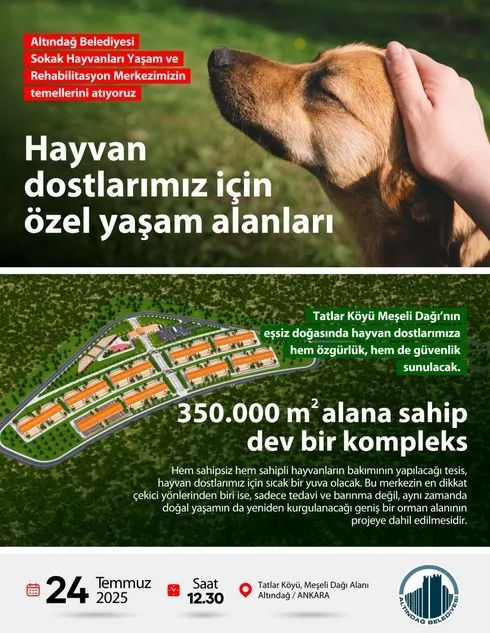 ak-partili-altindag-belediyesinden-ornek-adim-sokak-hayvanlarina-500-bin-metrekarelik-yasam-alani-1753518271923.jpg AK Partili Altındağ Belediyesinden örnek adım: Sokak hayvanlarına 500 bin metrekarelik yaşam alanı