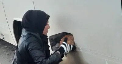 Sarman, korkudan mazot deposuna sığındı #bolu Sarman, korkudan mazot deposuna sığındı #bolu