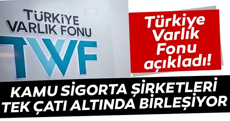 turkiye varlik fonu kamu sigorta