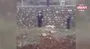 Sokak köpeklerini öldüren kişi yakalandı | Video