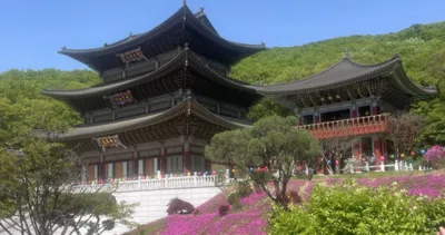 Saraylar, Pazarlar, Köyler, Bahçeler… İşte Güney Kore’nin tarihi ve büyüleyici yerleri: