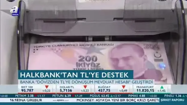 Halkbank'tan TL'ye destek