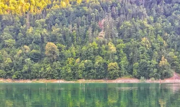 Şehirden uzak doğanın kucağında