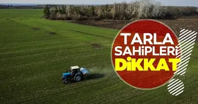 Tarla sahipleri dikkat! İşlenmeyen arazileri Bakanlık kiralayacak: Kira bedelleri nasıl belirlenecek?