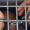 Bin kişinin açlık grevi yaptığı açıklandı