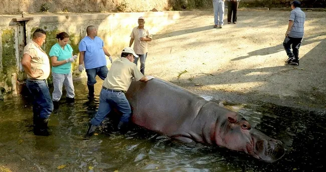 El Salvador Gustavito’ya ağlıyor