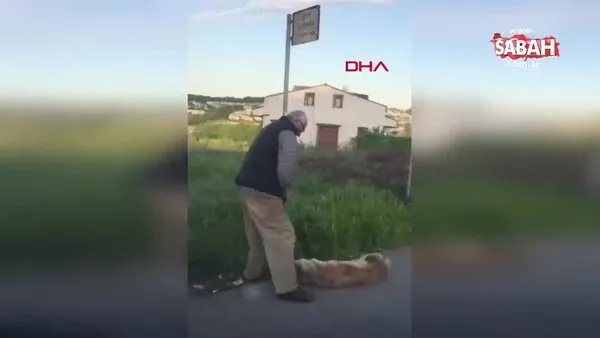 İstanbul Sarıyer'de vahşet! Köpeği silahla vurarak öldürdüğü iddia edilen şahıs kamerada