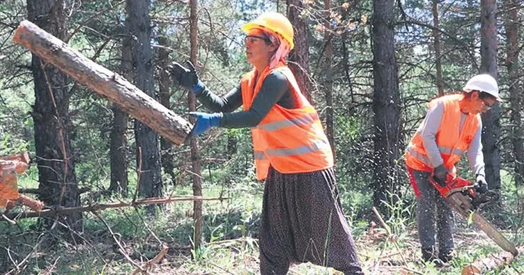 Orman ekonomisinde 100 bin kadın var