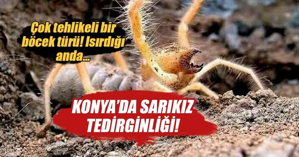 sabah
