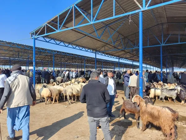 kurban-bayrami-oncesi-hareketlilik-yasaniyor-1779803804456.jpg